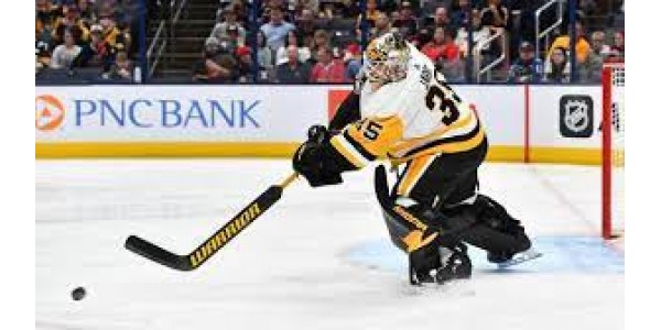 De nombreux joueurs ont été grièvement blessés lors des récents matchs de la LNH